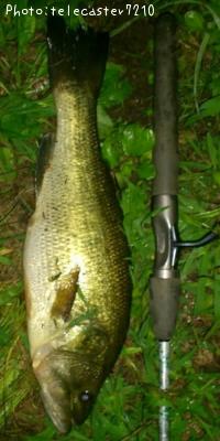 �֥�å��Х�