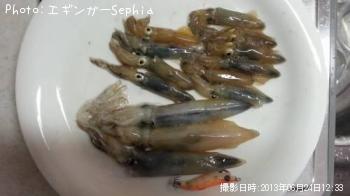 ¥Ò¥¤¥«¡õ¥ä¥ê¥¤¥«