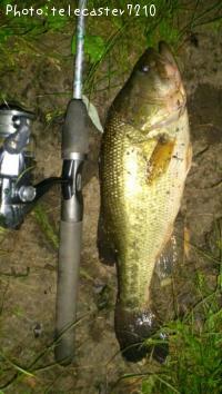 ¥Ö¥é¥Ã¥¯¥Ð¥¹