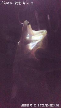 �����Х�