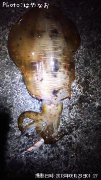 �����ꥤ��