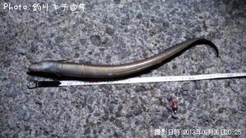 �ϥ�ʥޥ��ʥ���