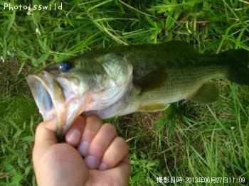 �֥�å��Х�