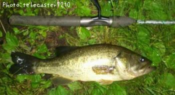 �֥�å��Х�