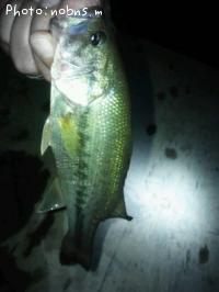 �֥�å��Х�