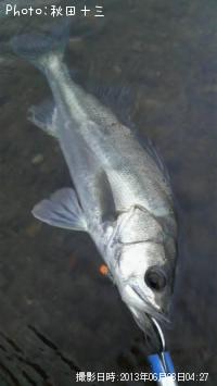 �����Х�