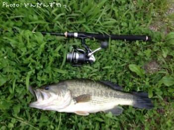 �֥�å��Х�