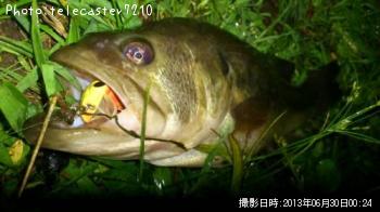 ¥Ö¥é¥Ã¥¯¥Ð¥¹