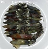 ¥ä¥ê¥¤¥«¡õ¥Ò¥¤¥«