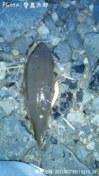 ���쥤����֡�