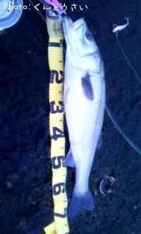 �����Х�