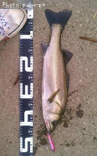 �����Х�