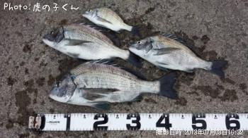 ����������������