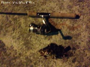 �����Υ���Х�