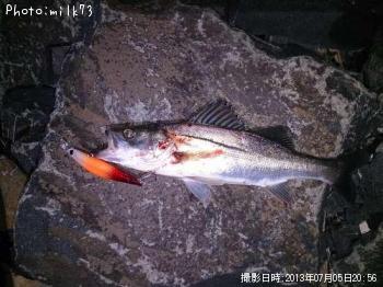 �����Х�