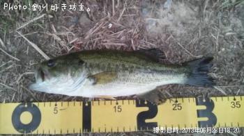 �֥�å��Х�