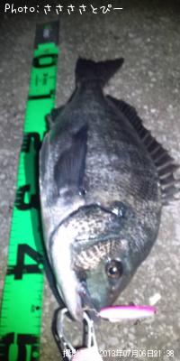 ���������������Х�