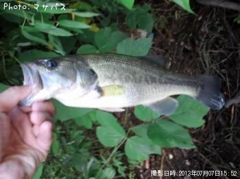 �֥�å��Х�