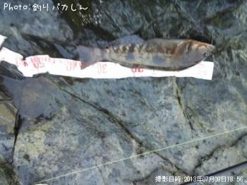 �����ʥ�