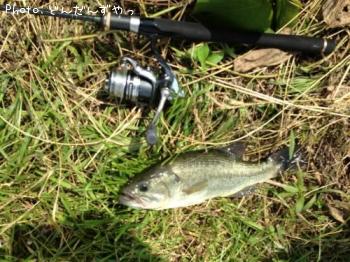 �֥�å��Х�