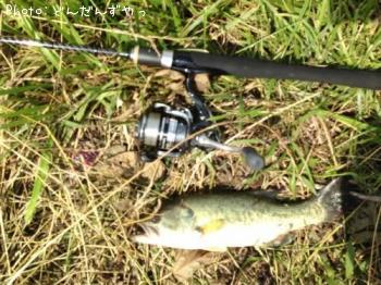 �֥�å��Х�