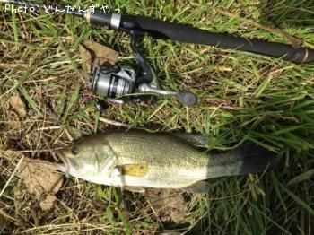 �֥�å��Х�