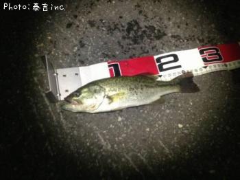 �֥�å��Х�