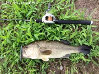 �֥�å��Х�