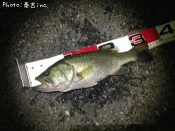 ¥Ö¥é¥Ã¥¯¥Ð¥¹