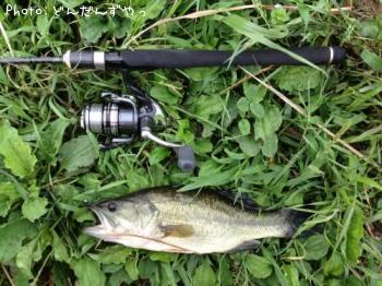 ¥Ö¥é¥Ã¥¯¥Ð¥¹