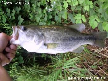 ¥Ö¥é¥Ã¥¯¥Ð¥¹