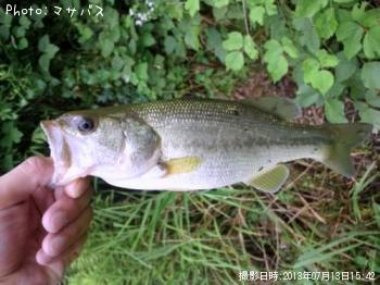 ¥Ö¥é¥Ã¥¯¥Ð¥¹