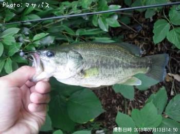 ¥Ö¥é¥Ã¥¯¥Ð¥¹