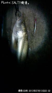 �����Х�