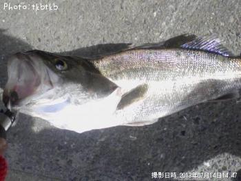 �����Х�