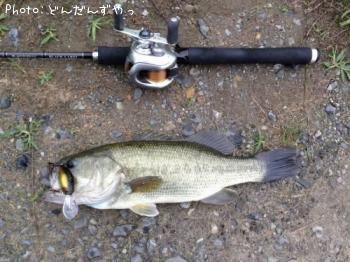 �֥�å��Х�