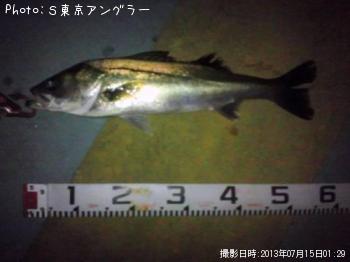 �����Х�