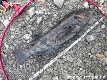 �����ʥ�