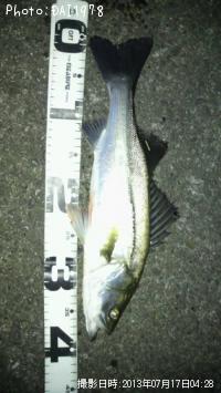 �����Х�