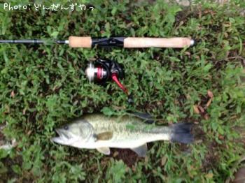 �֥�å��Х�