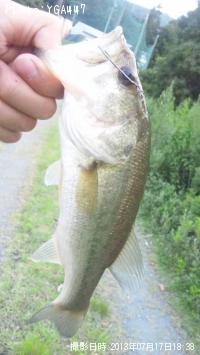 ¥Ö¥é¥Ã¥¯¥Ð¥¹