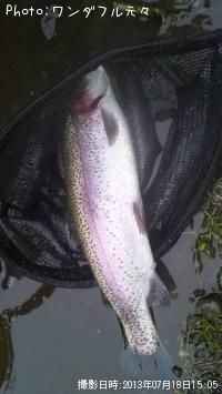 ¥ì¥¤¥ó¥Ü¡¼¥È¥é¥¦¥È