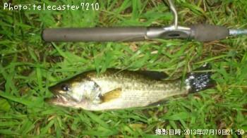 �֥�å��Х�