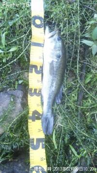 �֥�å��Х�