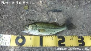 �֥�å��Х�