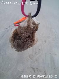 ¥Ò¥é¥á¡¡¡Ê¥½¥²¡Ë