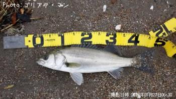 �����Х�