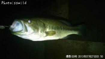 ¥Ö¥é¥Ã¥¯¥Ð¥¹