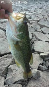 �֥�å��Х�