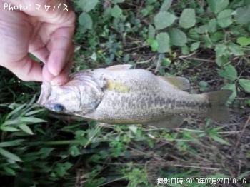 �֥�å��Х�